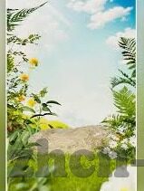 91麻豆国产毛片-XXX地域文化与91麻豆国产毛片，微妙的平衡与宽带发展