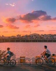 吃奶摸下麻豆高清视频-一线见闻萌趣瞬间，揭开「吃奶·摸下‧麻豆高清视频」背后的小秘密