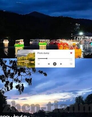 大象传媒回家在线观看-探索大象传媒的回家之旅，在线观影的温馨篇章