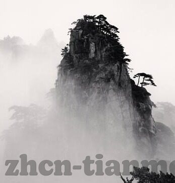久操人妻-探索情感与伦理的边界，在复杂关系中寻找理解
