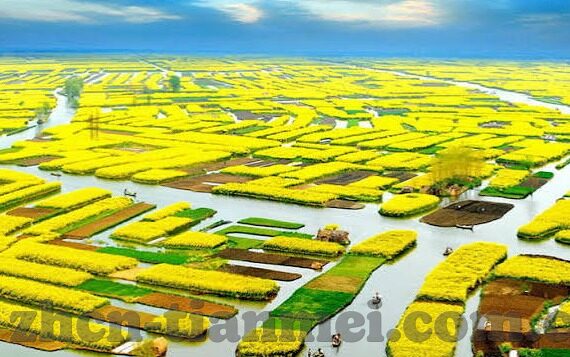 麻豆精东果冻传媒-麻豆精东果冻传媒，数字时代下的内容创新与文化交融