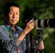 麻豆视短视频-麻豆视短视频，视听盛宴的当代娱乐新风口