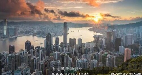 为什么下载不了糖心app-用户面对的困境，探讨糖心APP下载受阻的多种原因